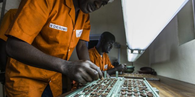 Chocolat Made in Côte d'Ivoire_8