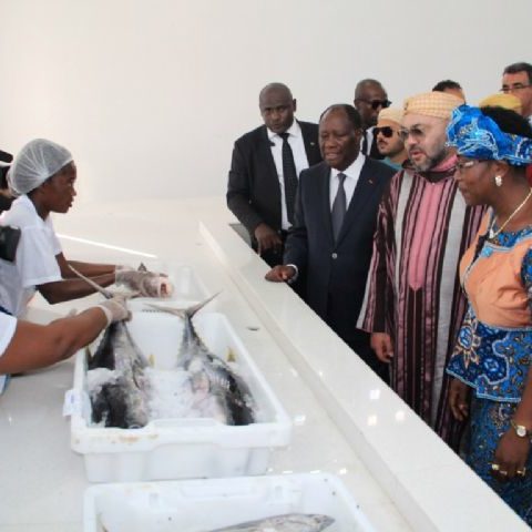 Pêche : le débarcadère de Locodjro