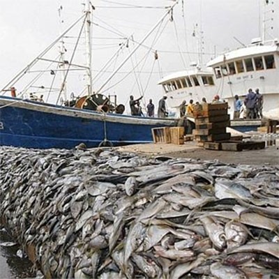 Port Peche Abidjan_1