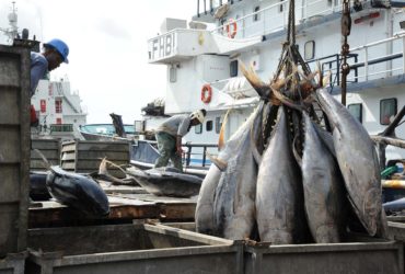 Port de pêche d’Abidjan inauguré