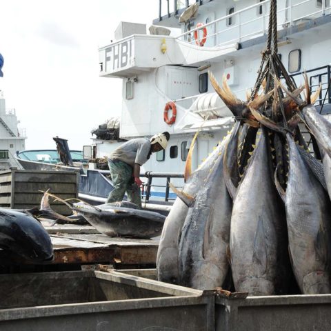 Port de pêche d’Abidjan inauguré