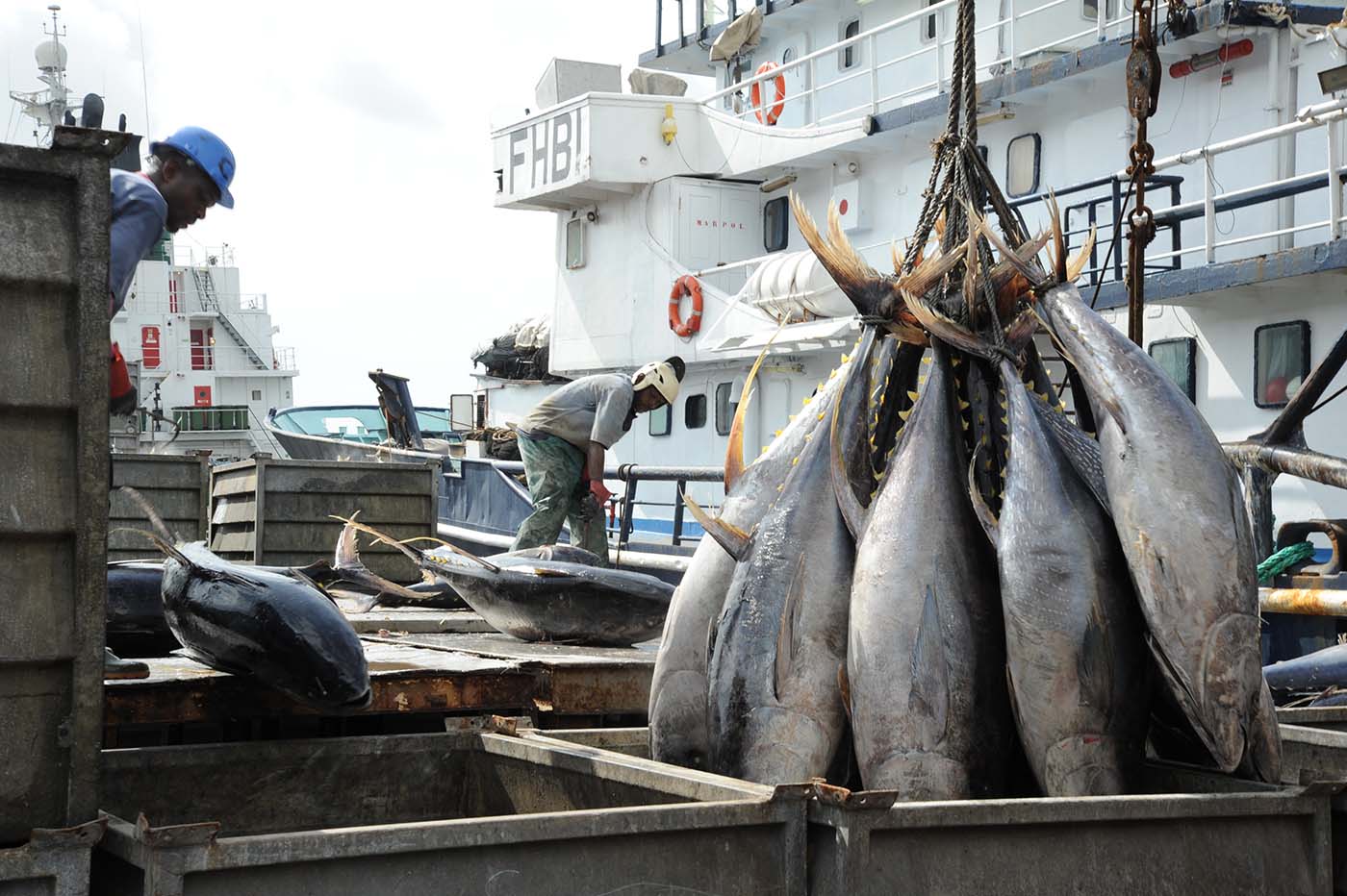 Port Peche Abidjan_2