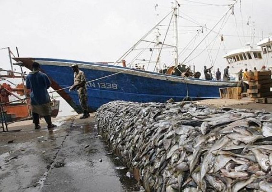 Port Peche Abidjan_5