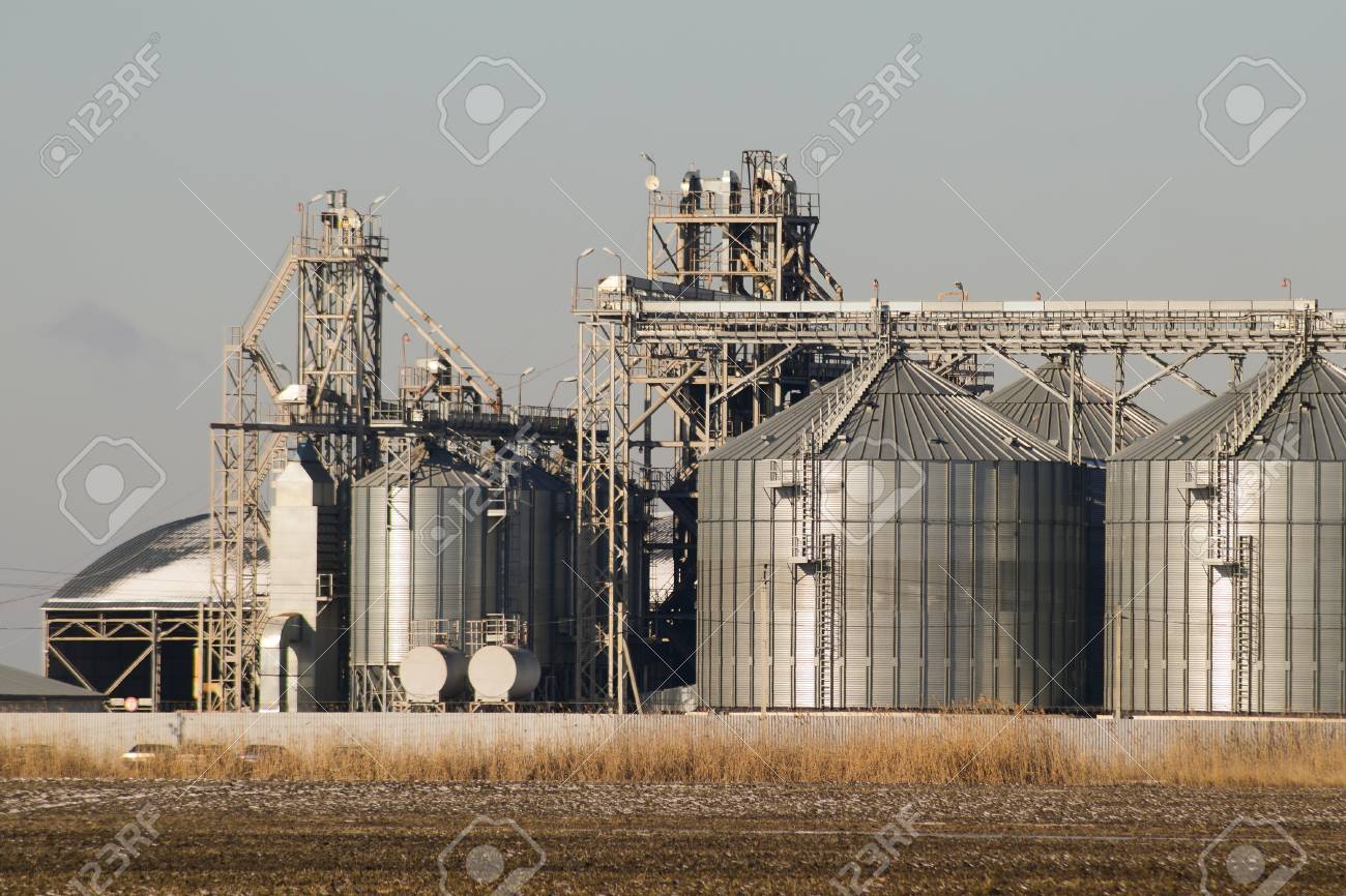 Plant for the drying and storage of grain