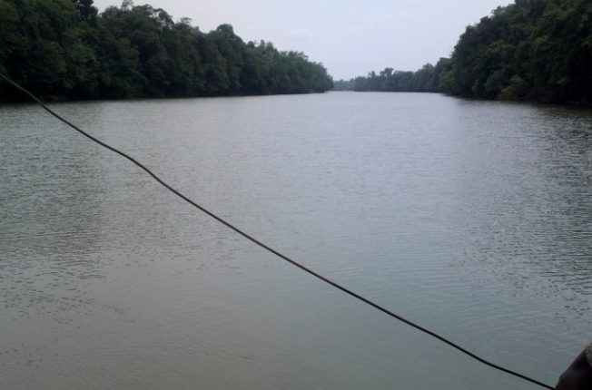 le fleuve Comoé avant le pont Sérébou-Bassawa