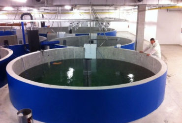 Projet de développement durable de la pêche et de l’aquaculture