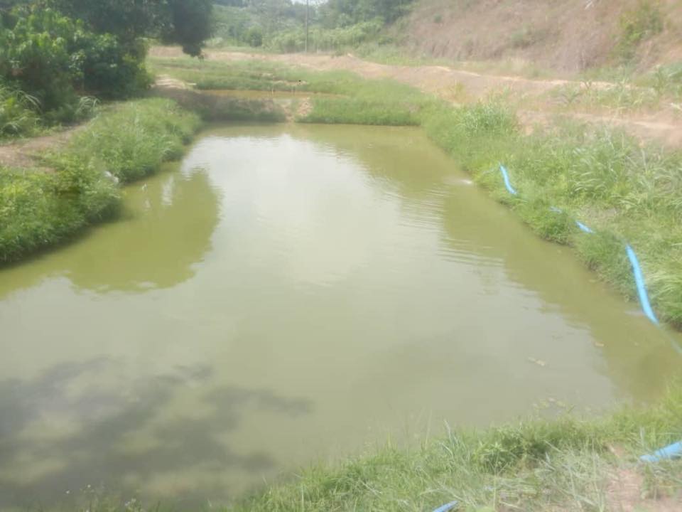 Station aquaculture de Mopoyem_CIV_5