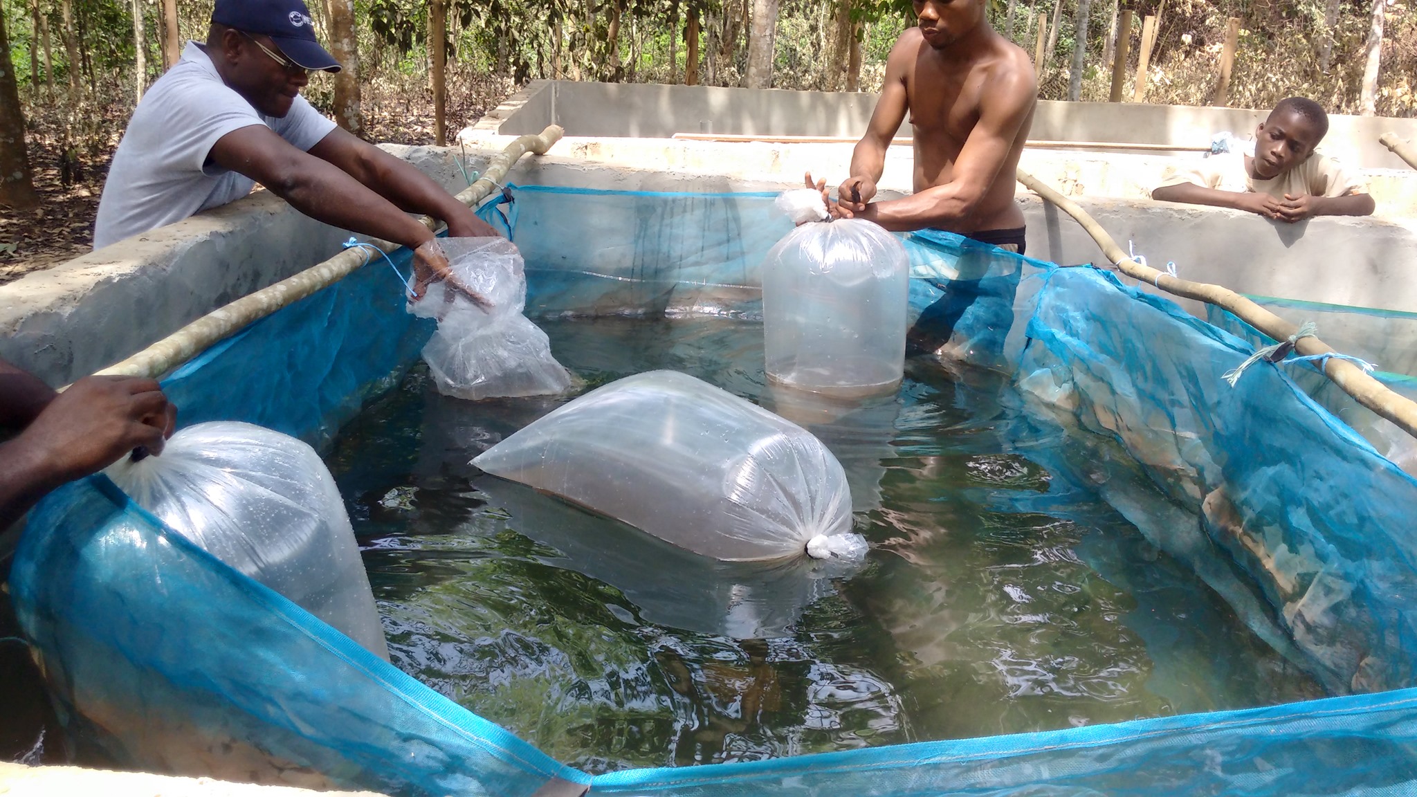 Station aquaculture de Mopoyem_CIV_6