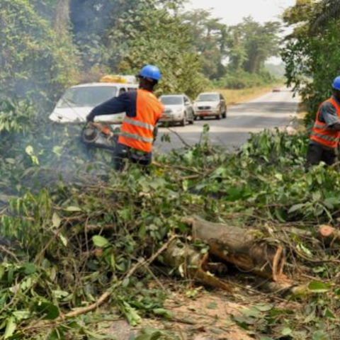 Gagnoa : L’Ageroute débroussaille des kilomètres de routes bitumées