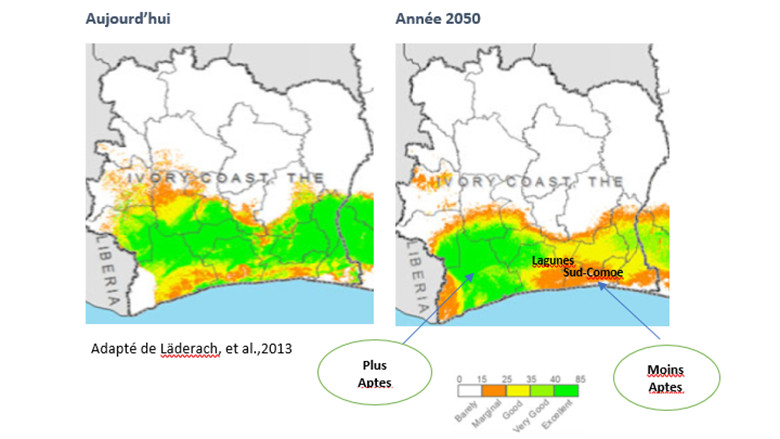 Environnement_developpement_durable_CIV_7