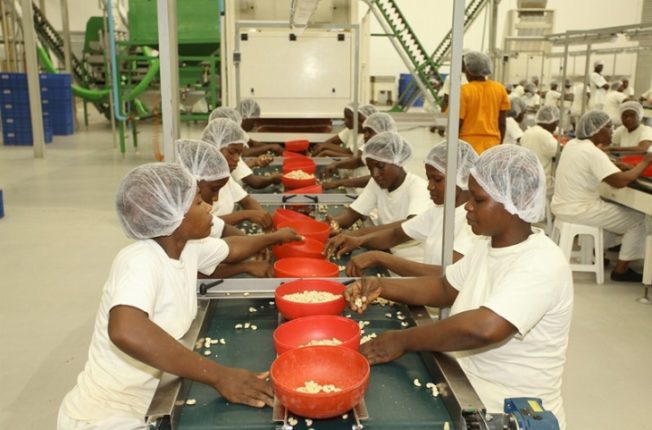 Unite_fabrication_noix_cajou_CIV_5
