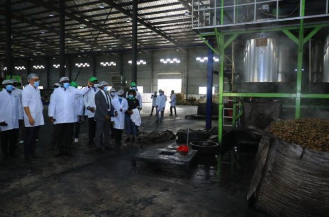 Usine transformation anacarde Yamoussoukro_CIV_14