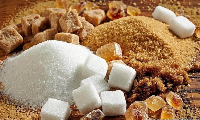 Les productions de sucre et d’anacardes en hausse en Côte d’Ivoire_CIV_3