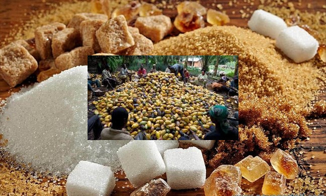 Les productions de sucre et d’anacardes en hausse en Côte d’Ivoire.