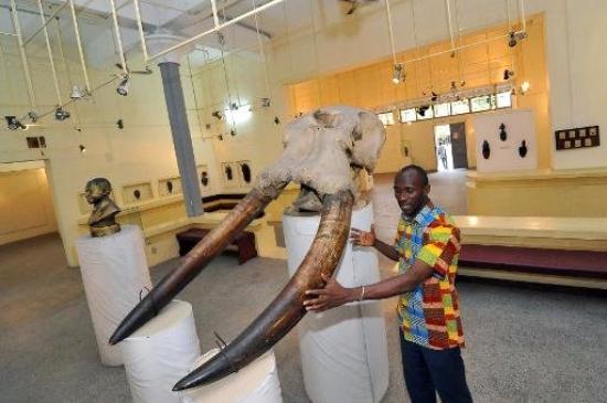 Musee_des_civilisations_de_cote_dIvoire_CIV_6