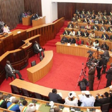 Expliquons les élections législatives, le parlement devenu bicaméral, les députés les sénateurs leurs rôles en Côte d’Ivoire.