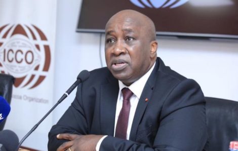 La Côte d’Ivoire préside la 103eme session du Conseil de l’Organisation Internationale du Cacao (ICCO).