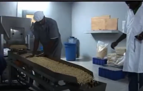 La Côte d’Ivoire, leader mondial de la noix de cajou, veut conquérir le marché américain.