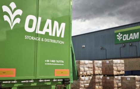 Enquêtes douanière : Olam condamnée à payer environ 142 milliards de Fcfa à la Côte-d’Ivoire.