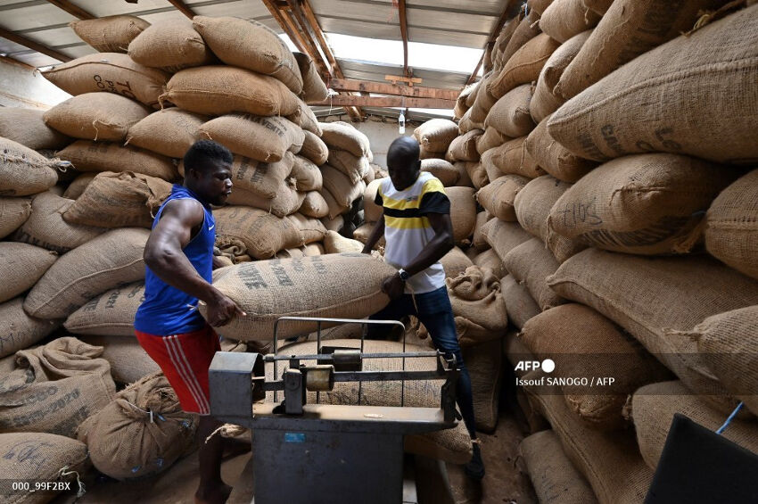 Succès du cacao bio_RCI_2021_CIV_1