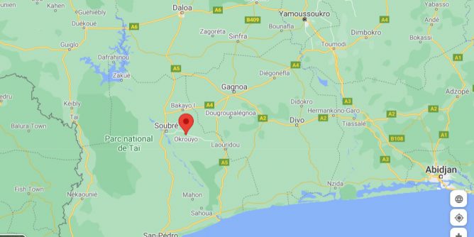 En Côte-d’Ivoire les gendarmes neutralisent « un coupeur de route » sur l’axe Soubré-Okrouyo.