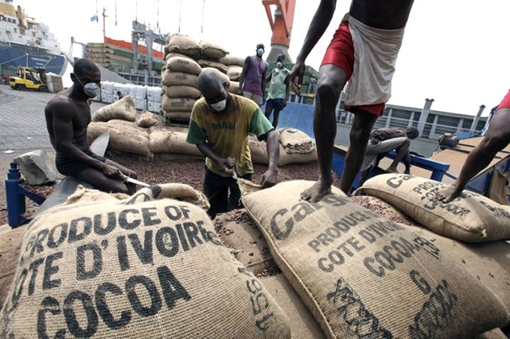 Café-Cacaco : les négociants et coopératives exportatrices expriment « leur profonde et sincère gratitude » au président Ouattara pour l’attribution de 20% de parts dans les exportations de fèves (Courrier).