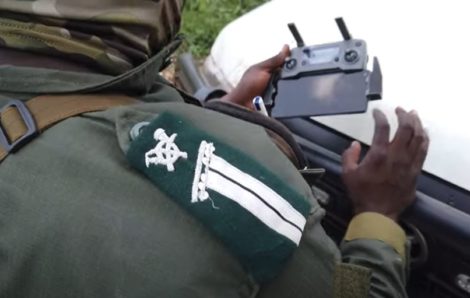 En Côte d’Ivoire, une brigade spéciale au secours de la forêt.