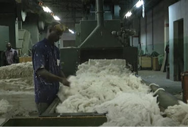 Agriculture : l’Etat va faire du secteur coton le premier de l’Afrique de l’Ouest, soutient Patrick Achi.