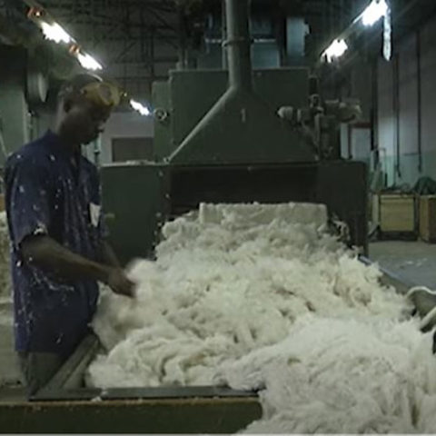 Agriculture : l’Etat va faire du secteur coton le premier de l’Afrique de l’Ouest, soutient Patrick Achi.