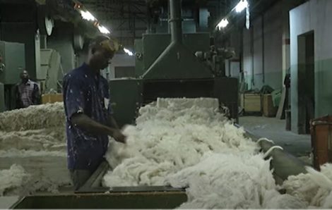 Agriculture : l’Etat va faire du secteur coton le premier de l’Afrique de l’Ouest, soutient Patrick Achi.