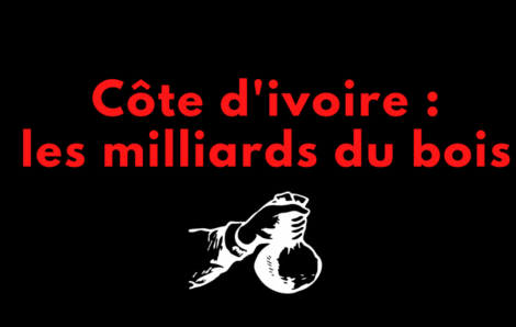AFFAIRE D&rsquo;ÉTAT [EXCLUSIF] Le Ministre, le Chinois, les colonels, le Libanais et les milliards du bois.