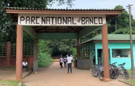 Sublime Côte d’Ivoire : le parc du banco fait peau neuve.