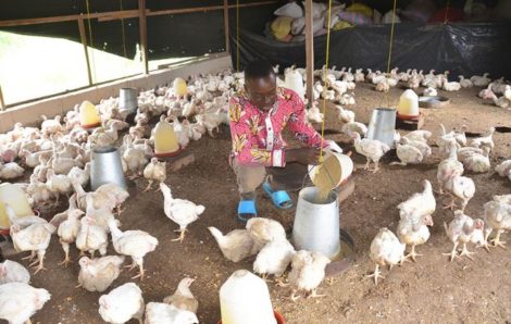 Côte d&rsquo;Ivoire : Des résultats probants qui témoignent des efforts du Gouvernement pour faciliter l&rsquo;insertion socioprofessionnelle des jeunes.