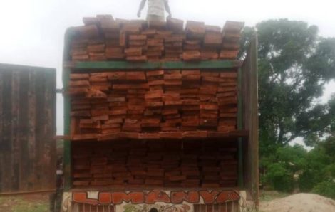 Sauvegarde des ressources naturelles : Un camion de 40 tonnes de bois issus de sciage à façon intercepté.