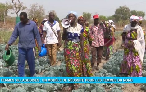 Autonomisation de la femme : les fermes villageoises un modèle de réussite dans le nord (Eco Plus).