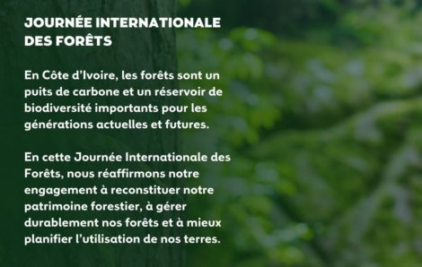 Journée Internationale des forêts (le tweet du Président de la Répulique).