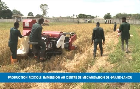 Production rizicole : immersion au centre de mécanisation de Grand-Lahou (Eco plus).