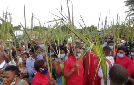 Dimanche des Rameaux : Les fidèles ont célébré l’entrée de Jésus à Jérusalem.