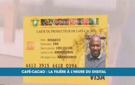 Cartes de producteurs : la filière café cacao à l’heure du digital (Eco plus).