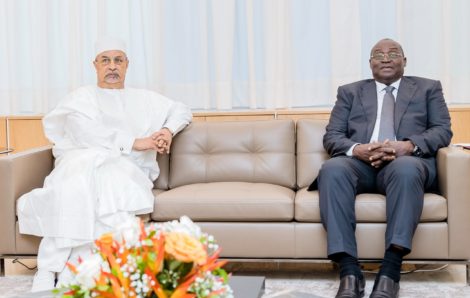 Le Vice-Président de la République, Tiémoko Meyliet Koné, s&rsquo;est entretenu, avec Mahamat Saleh Annadif.
