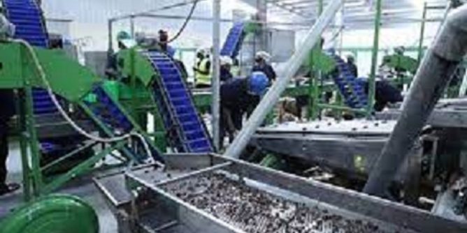 Norfund prête 10 millions de dollars pour une nouvelle usine de transformation de cajou en Côte-d’Ivoire.