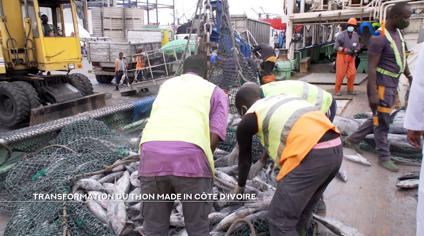250 000 tonnes de thon traités par an au port d’Abidjan_1