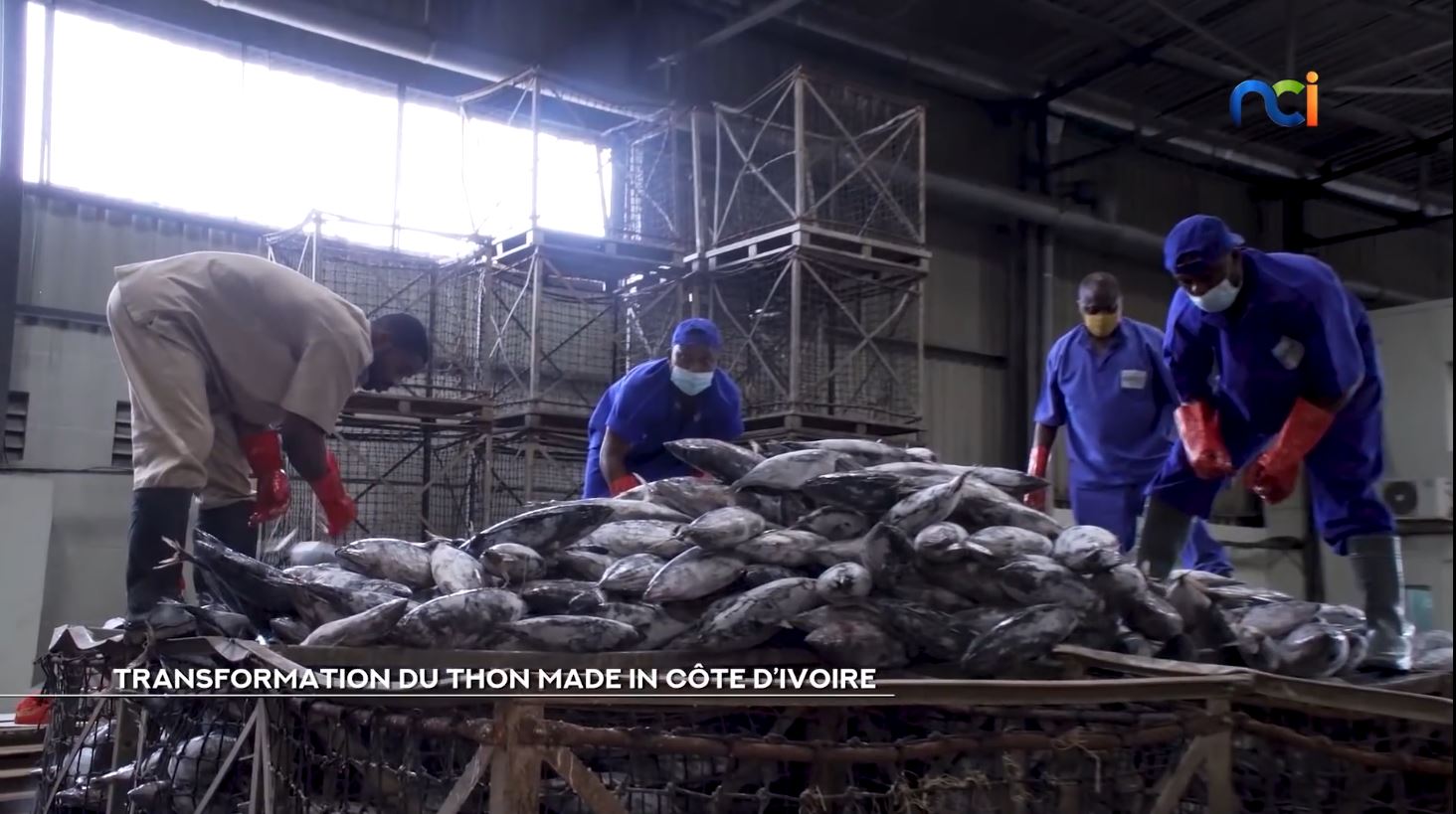 250 000 tonnes de thon traités par an au port d’Abidjan_3