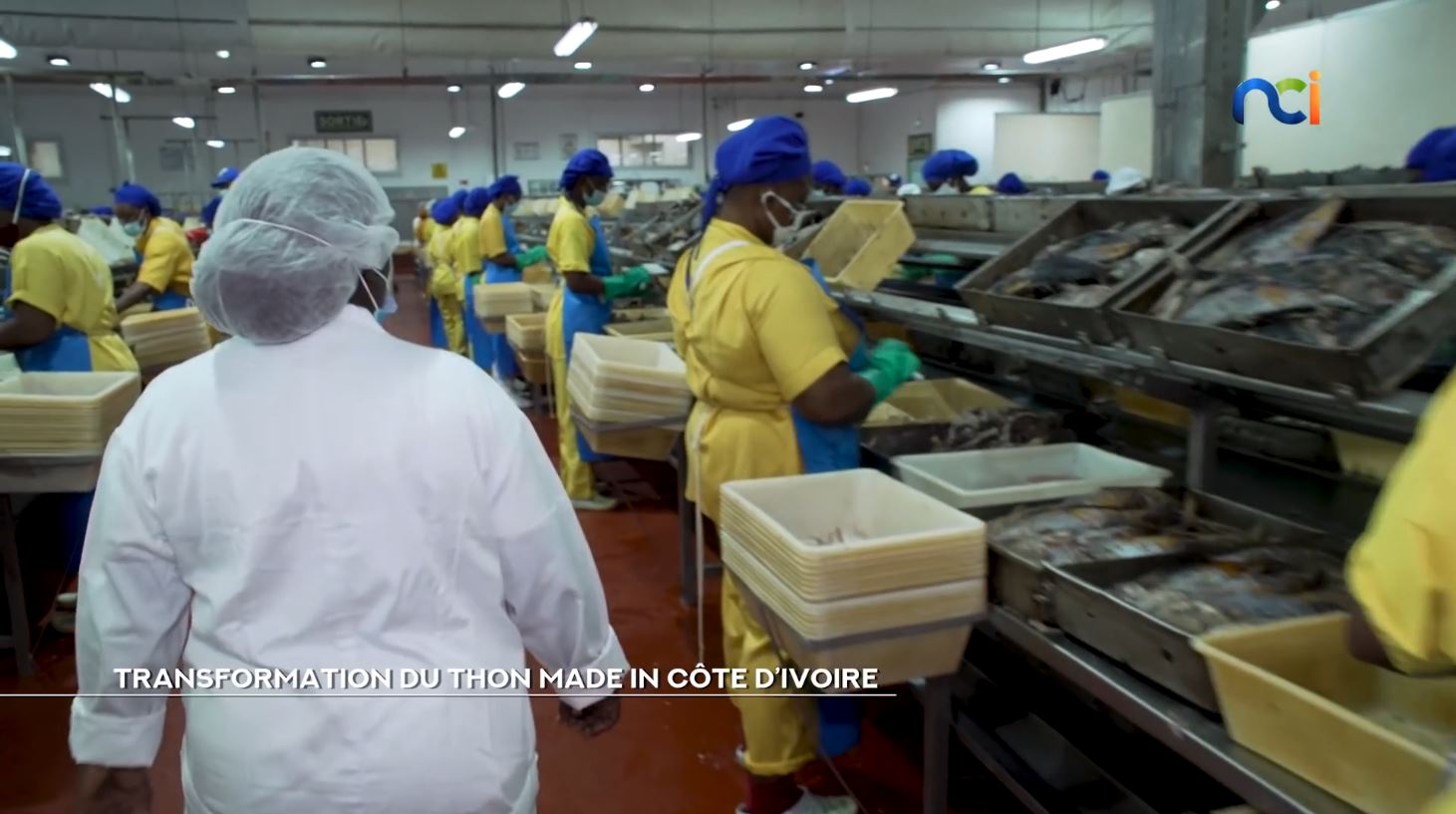 250 000 tonnes de thon traités par an au port d’Abidjan_4