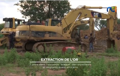 Côte d’Ivoire-AIP/ Plus de 800 sites d’orpaillage clandestin détruits et 630 personnes interpellées par le GS-LOI.