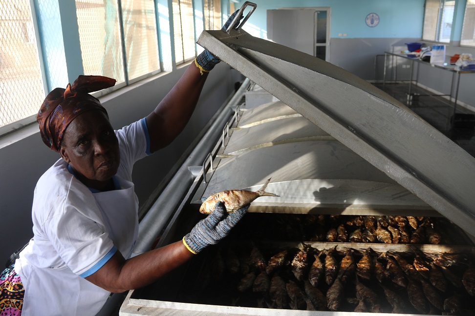 des-mareyeuses-ivoiriennes-partagent-leur-savoir-faire-au-senegal_jhj0qkkamyj