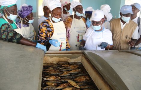 Des mareyeuses ivoiriennes partagent leur savoir-faire au Sénégal.