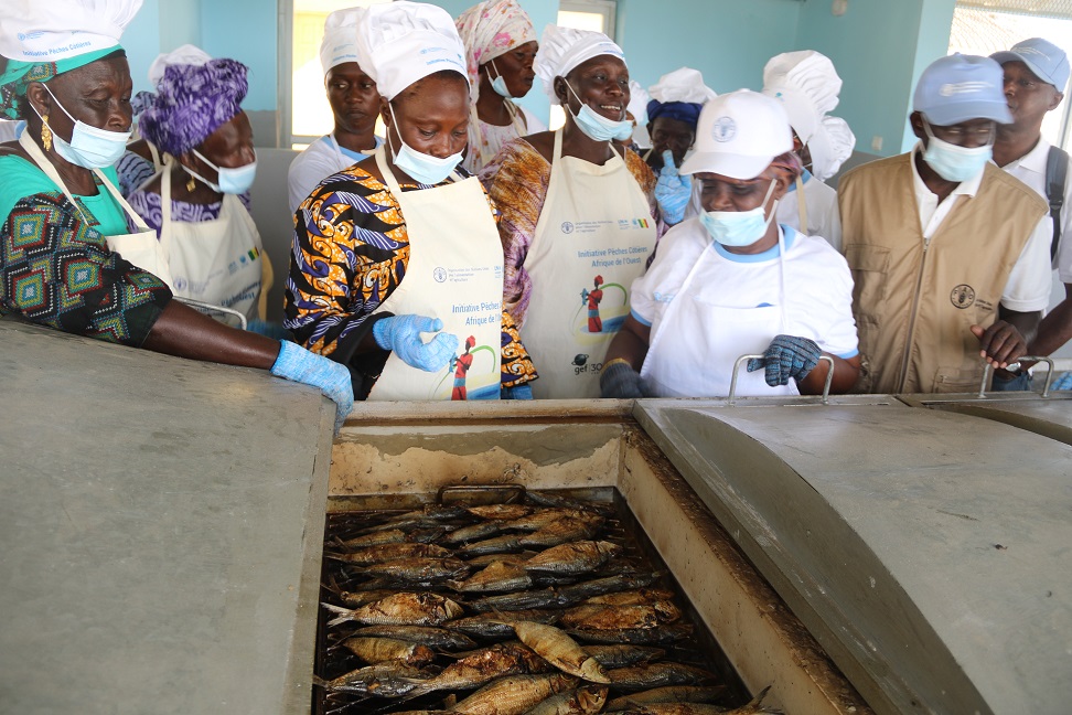 Des mareyeuses ivoiriennes partagent leur savoir-faire au Sénégal.