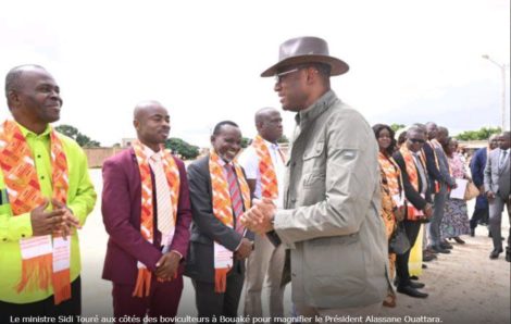 Bouaké – Les boviculteurs rendent hommage au Président Alassane Ouattara.