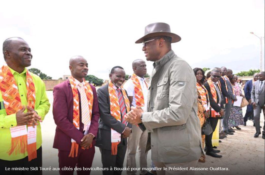 Bouaké – Les boviculteurs rendent hommage au Président Alassane Ouattara.